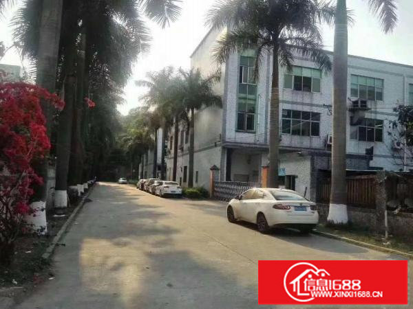 观澜三层独院厂房5250平米出租