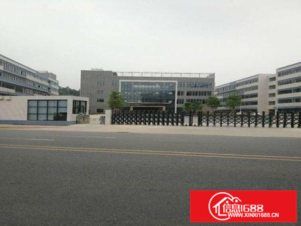 顺德伦教2500方标准厂房出租、形象好，近一环