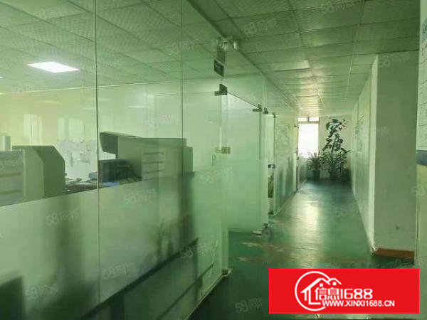 长安新出楼上1200平方，带有水电齐全，豪华装修