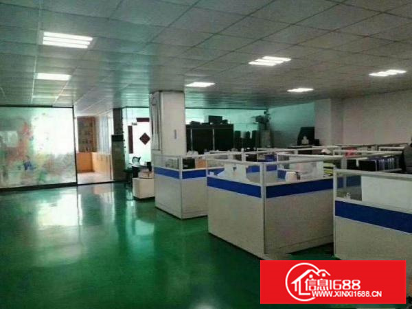 带红本，可办环评园洲九潭分租1楼276平方厂房，带行车·装修