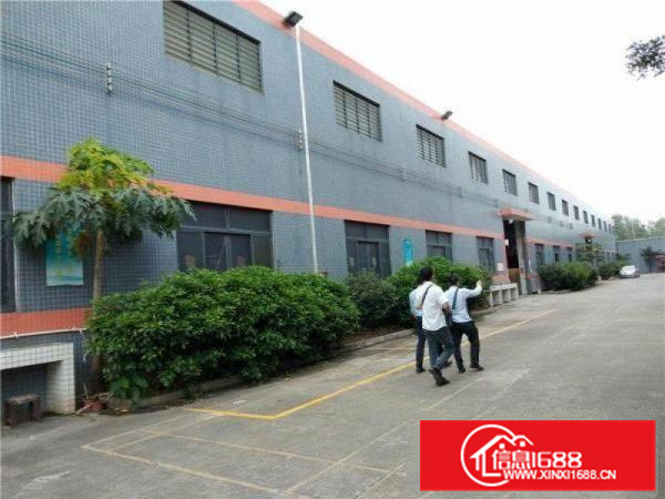 现狮山唯一靓厂房16000方独门独院，配套齐全，大路边