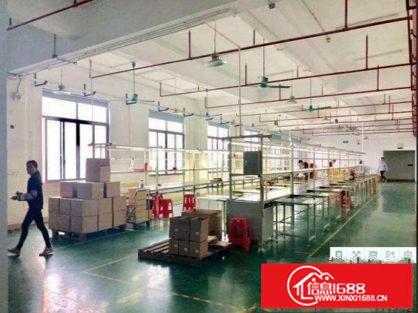 平湖富民工业园红本厂房仓库出租300分