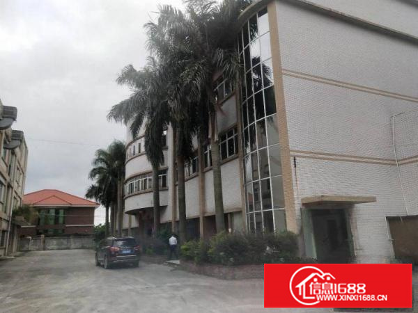 园洲福兴工业区花园式独院10000平方出租