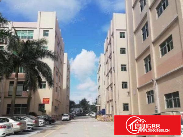 原业主直租办公仓库整层100平起分实用率高实图拍摄