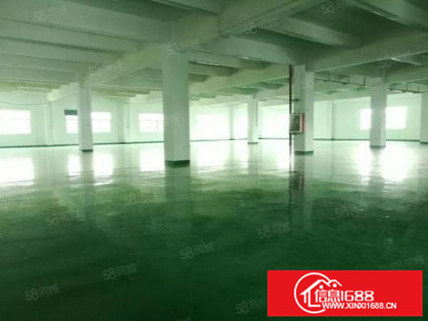 观澜新田原房东一楼1100平方标准厂房实际面积出租