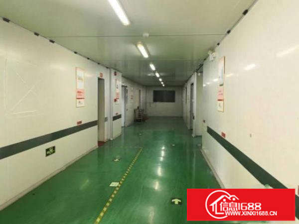 新桥新出楼上900平方厂房。带豪华装修办公室，全部精装