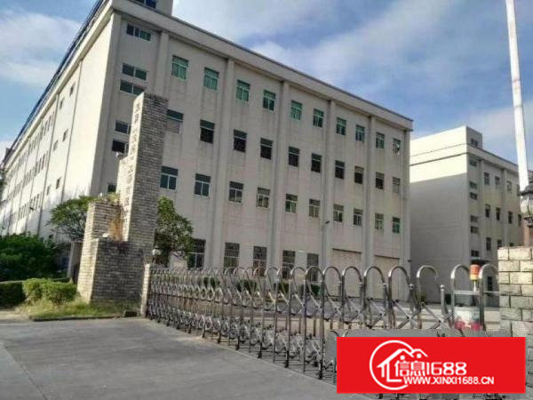 清溪镇中心街靓盘上市整栋分层出租或分栋出租，原房东