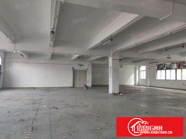 100平分租龙华大浪工业园独院精装1000平仓库厂房出租转租