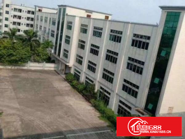 西湖原房东一楼1000方高度6.5米，超低价16，可分租