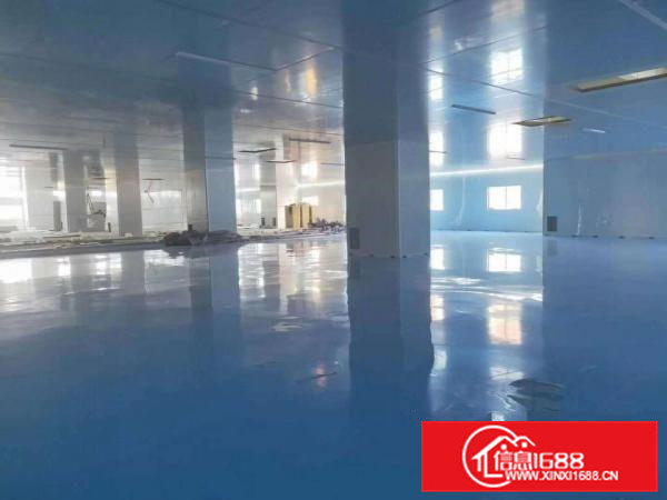 十万级无尘房6000平方厂房出租，东莞带环评