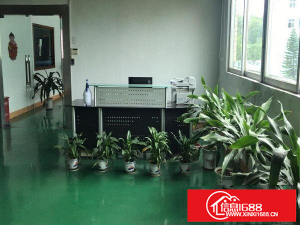 龙岗同乐精美装修16元每平电按需有红本