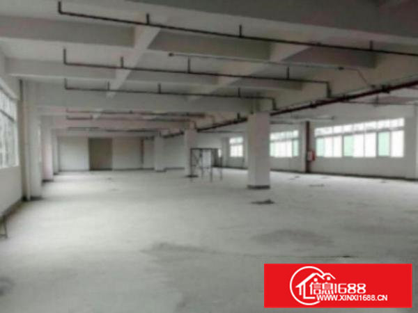 高埗独院标准一楼2000平方厂房招租有简单装修