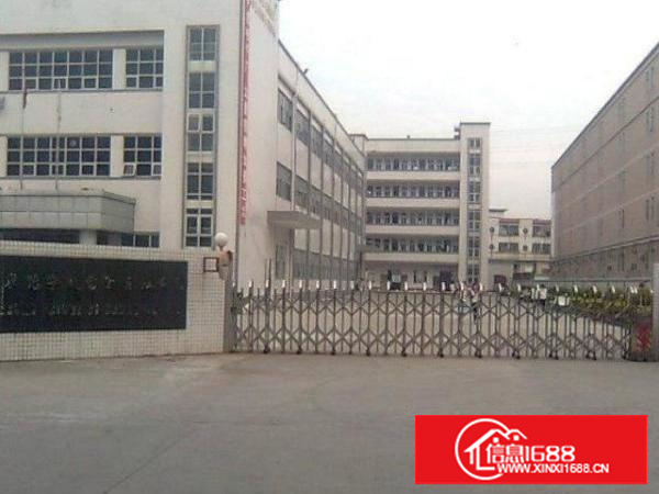 高埗新出楼上1950平方带办公室装修出租喷淋消防厂房高大上