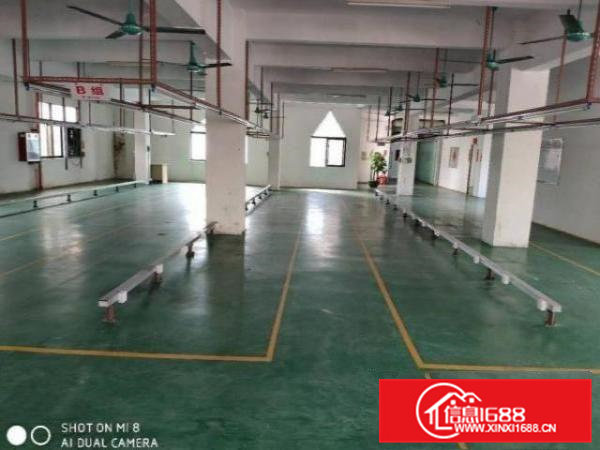 清溪谢坑村一楼厂房300平米起分租