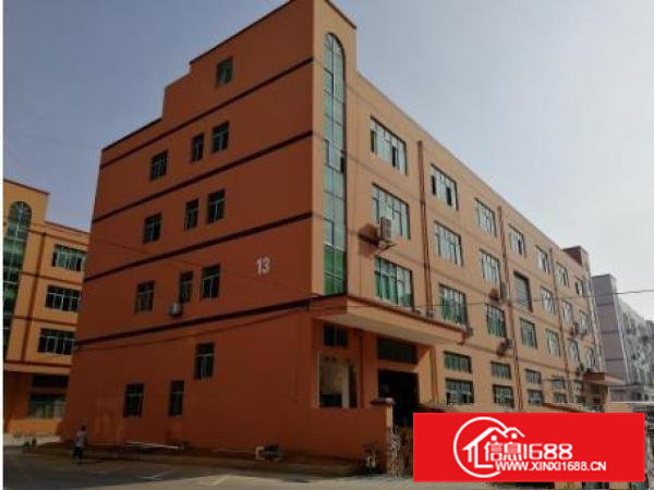 常平卢屋全新独院厂房6000平方，业主直租