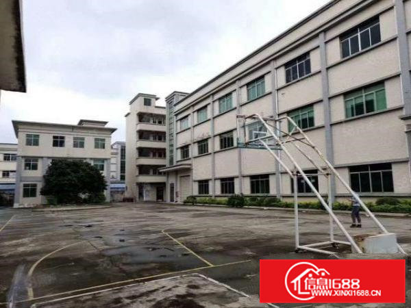 茶山镇原房东分租三楼900平方，实际面积无公摊