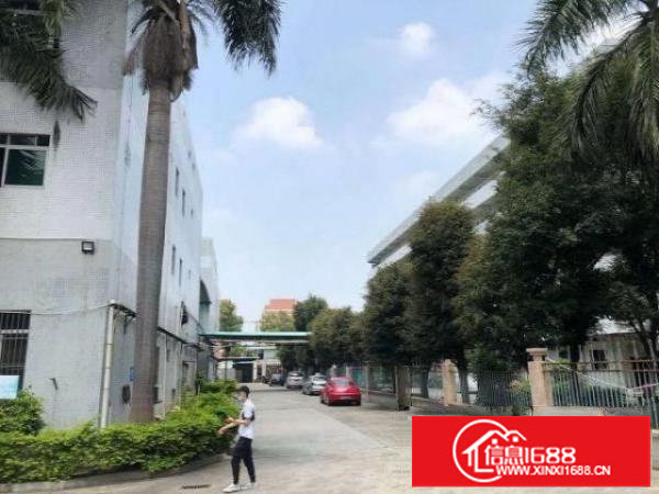 松岗新出原房东花园式独院厂房4000平