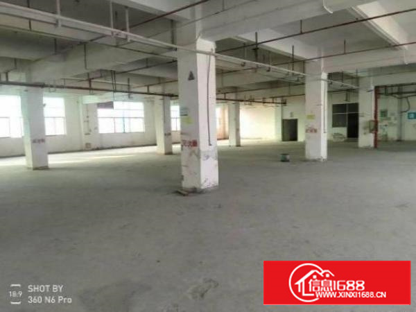 白石厦厂房招租1360平精装一楼有一个办公室