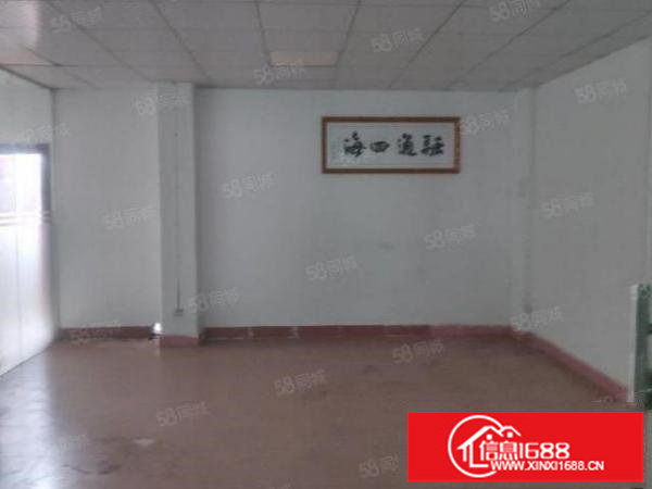 龙岗区园山街道大康新出厂房可分租