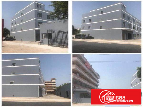 坪山独院厂房3500平带豪华办公室，