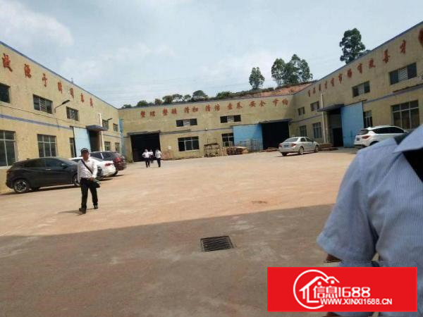 企石原房东形象漂亮钢构厂房出租4500平方米形象好