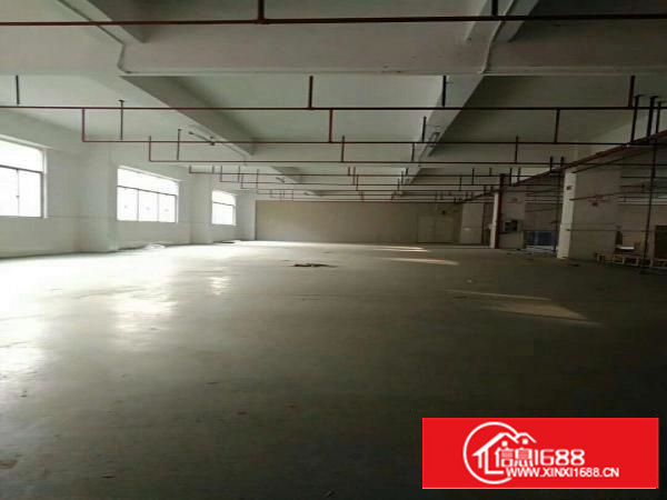 布澜路路旁一楼厂房2600平米出租