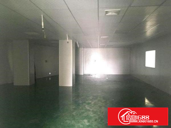 塘厦无尘车间！有消防800平方米楼上标准厂房招租