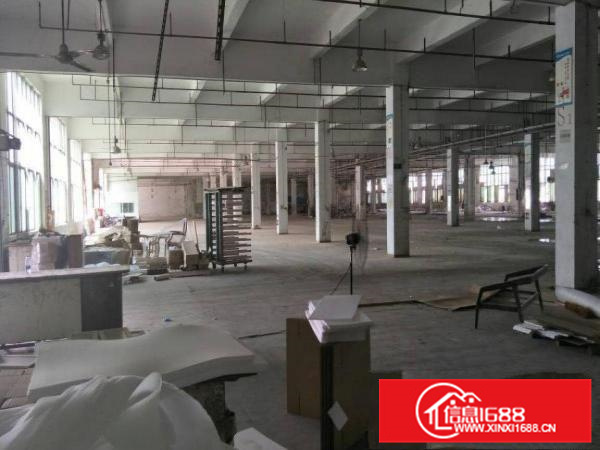 惠阳镇隆4500平独栋一楼高6米有喷淋空地大可分租