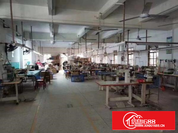 新桥三区新桥小学一楼400平厂房出租