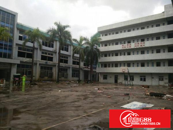 惠阳秋长原房东独院厂房14779平米可明包