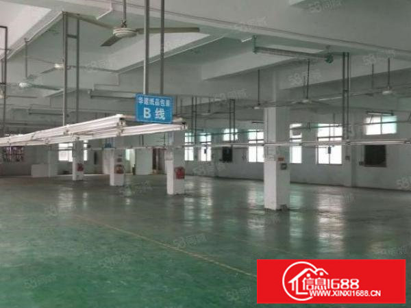 原房东红本厂房整层800平方。