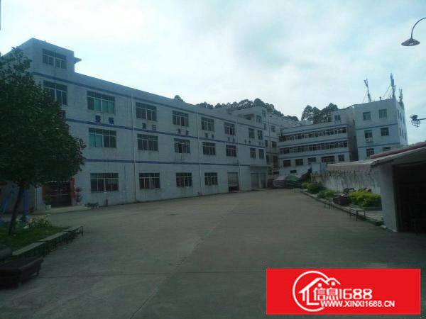 横岗大康沙荷路原业主1楼1500平厂房出租可分租