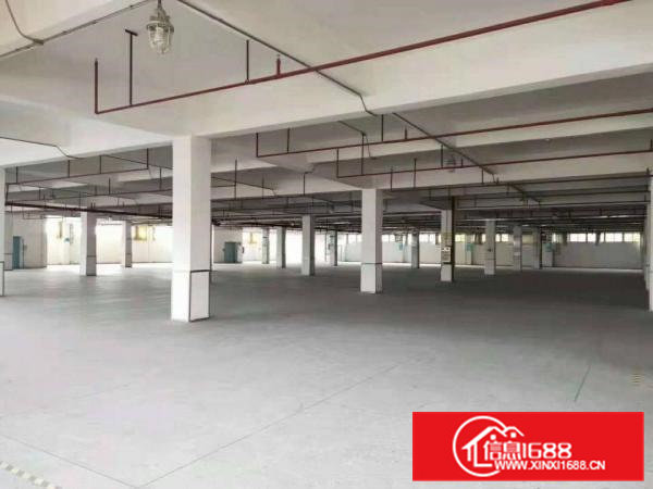 黄江原房东红本厂房80000平米分租