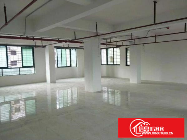 虎门新联新出一六层全新独栋厂房4200平