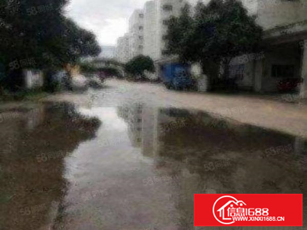 罗村招大工业区带行吊厂房800方，有办公室，可进大货