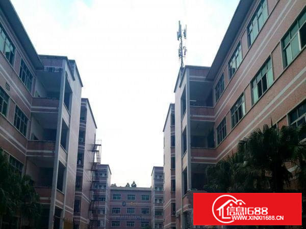 凤岗雁田安佳工业园一楼600平米原房东空地大厂房出租