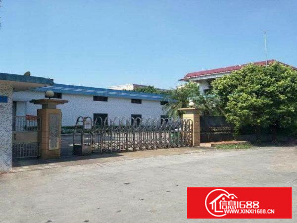 塘厦沙湖原房东经典小独院3780平方！面积可实量！无公摊