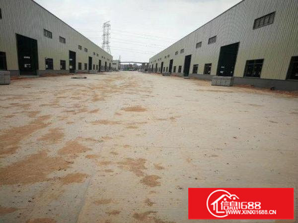 东莞市常平东深路边单一层滴水12米厂房诚意出租