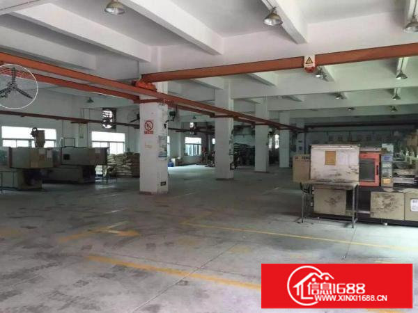 龙岗北通道6000平独院厂房出租，可分租业主直租