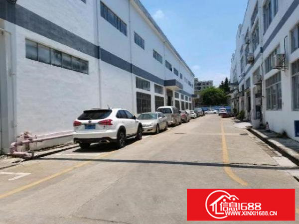 福永107国道附近1楼3000平方钢构厂房9米高有阁楼