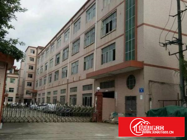 同乐浪背原房东无公摊楼上整层1200平15元出租