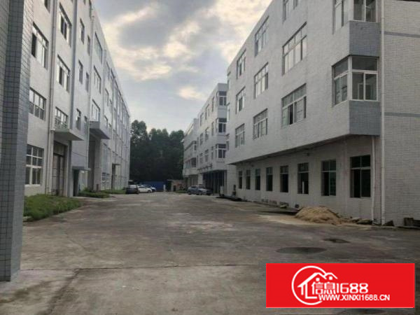 龙岗区坂田楼上800平厂房出租，原房东