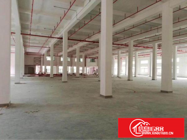 新圩高速出口独院三层厂房8500平方