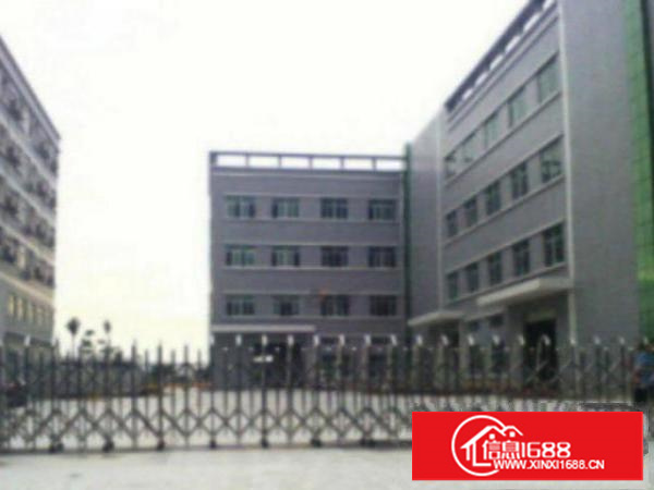 万江标准1100-3000平米低价招租