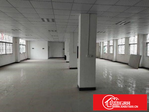 坪山龙田新出独院标准厂房3300平出租可整层分租