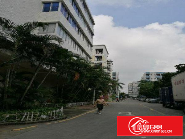 龙壁工业城厂房出租整层2460平米