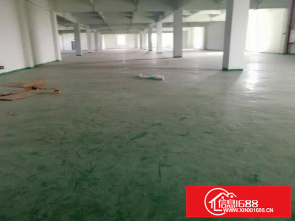 佛山市顺德区北滘镇新出厂房仓库可分租适合电子机械设备CNC