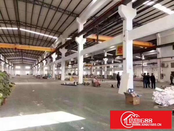 清溪镇大利新出单一层2400平方，滴水8米