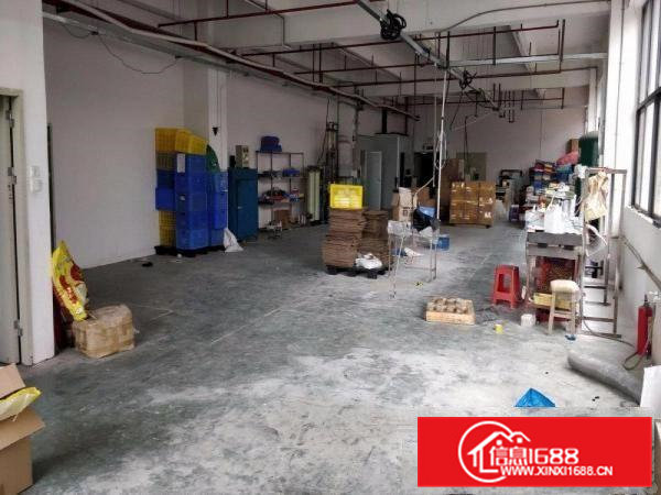 凤岗金凤凰小独门独院厂房出租2000平塑胶玩具五金