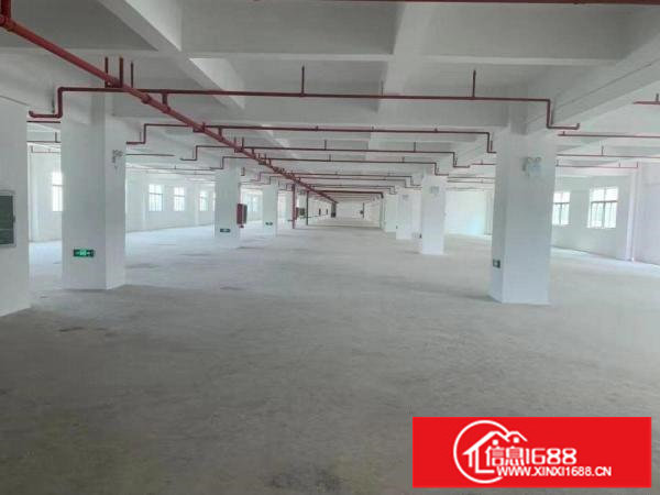 坪山楼上厂房出租4000平3吨电梯有喷淋有卸货平台0交通便利